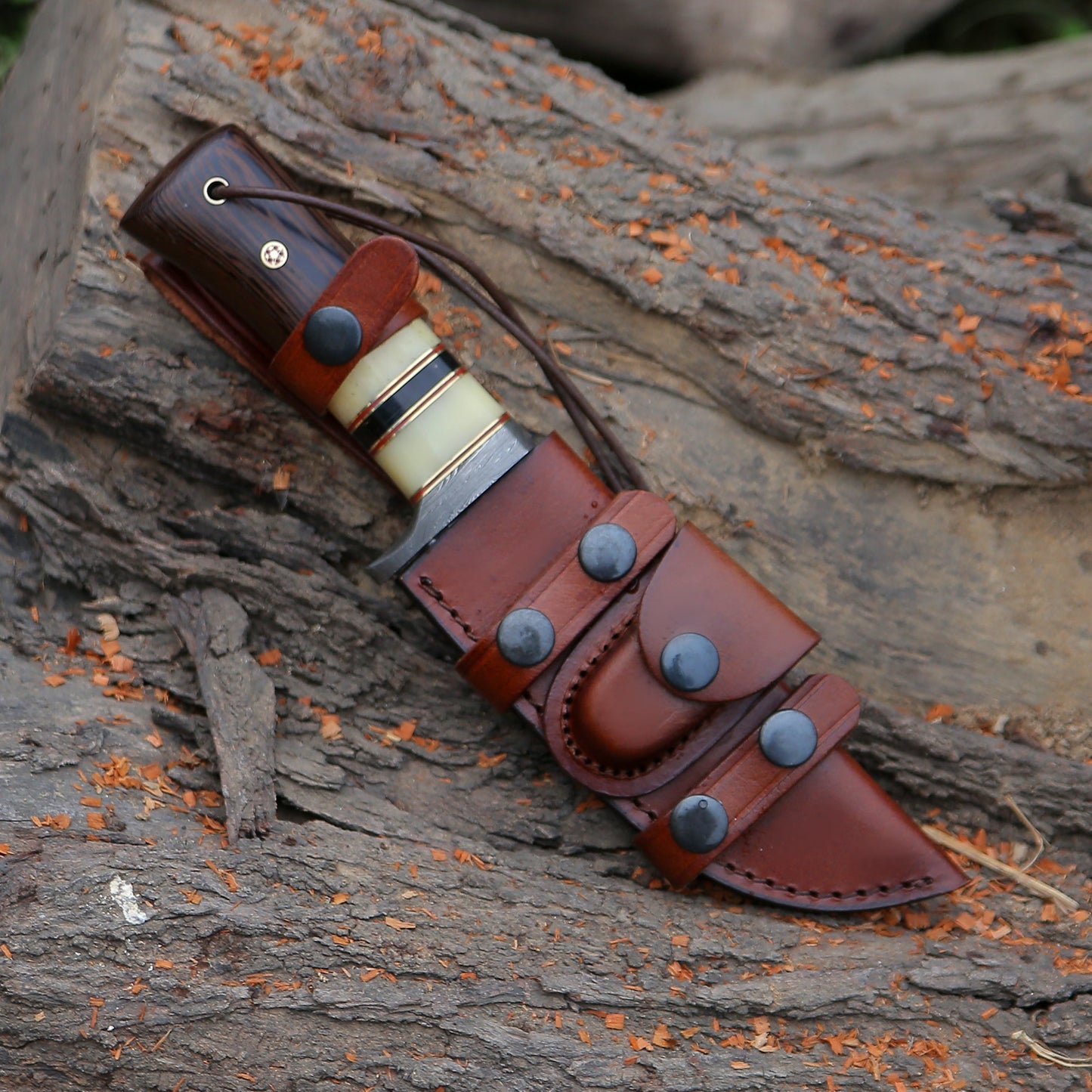 Nova Damascus Hunting Knife with Bone & Exotic Wenge Wood Handle